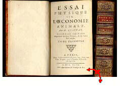 Quesnay, Essai physique sur l'oeconomie animale, 1747